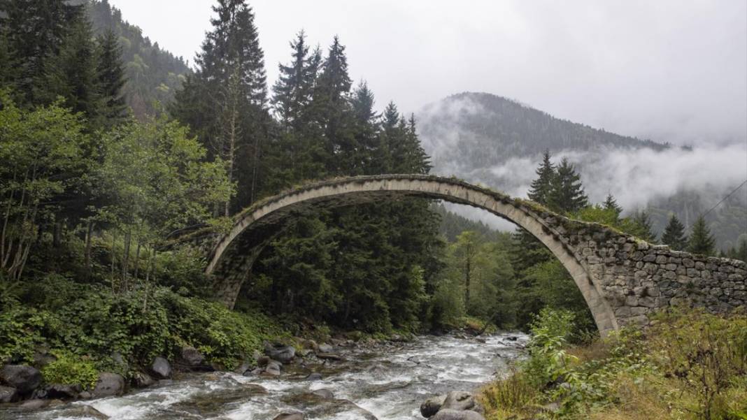 Rize yaylalarından güzel manzaralar 2