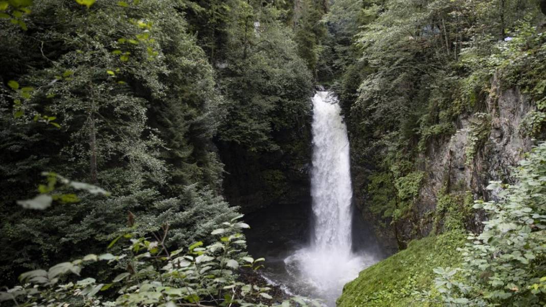 Rize yaylalarından güzel manzaralar 4