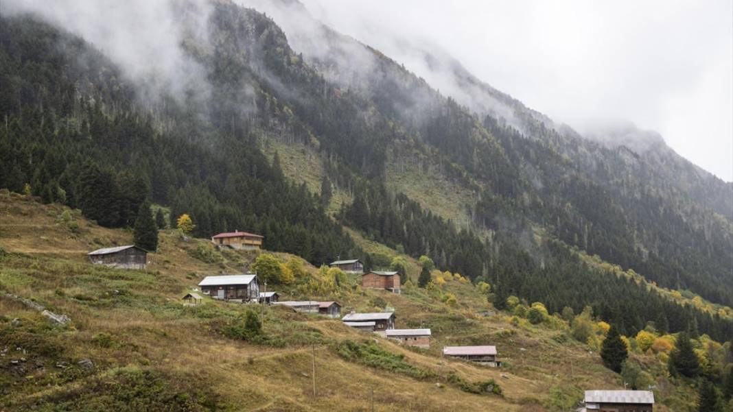 Rize yaylalarından güzel manzaralar 7