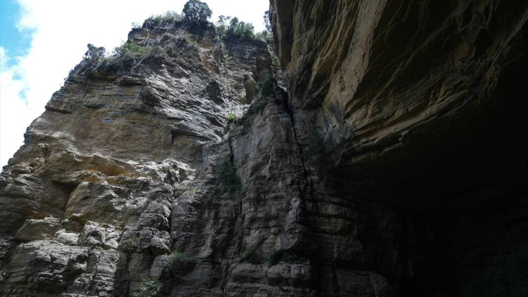 Kolombiya'nın tehlikeli asma köprüleri 9