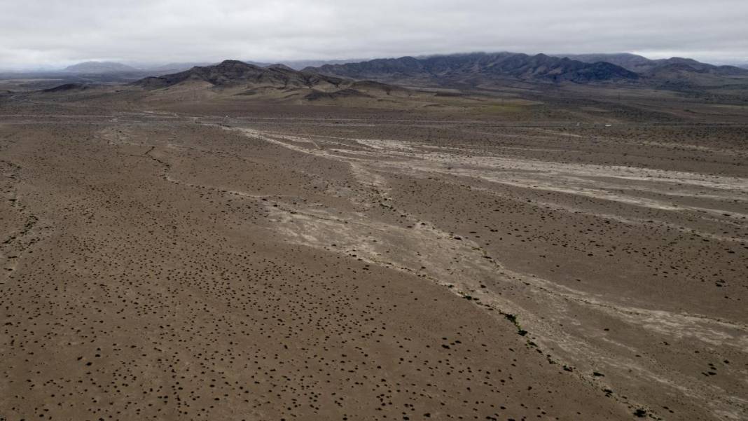 Ol der oluverir: Dünyanın en kurak çölü çiçek bahçesine dönüştü 14