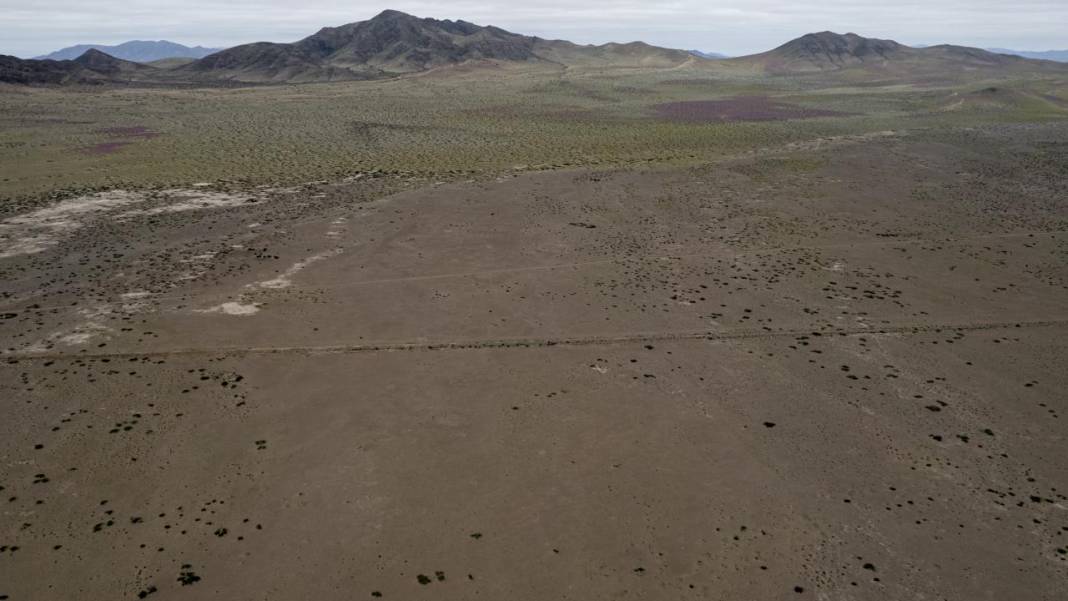 Ol der oluverir: Dünyanın en kurak çölü çiçek bahçesine dönüştü 4