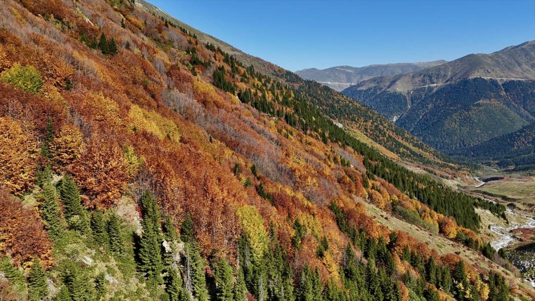 Kaçkar Dağları'nda sonbahar tefekkürü 8