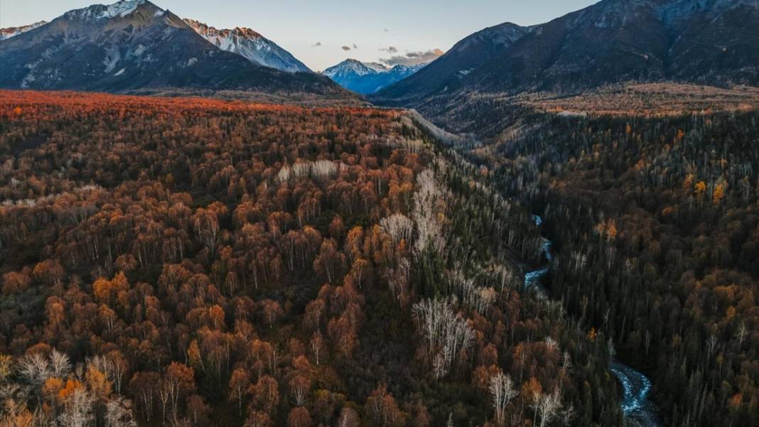 Alaska’da Sonbahar güzelliği 11