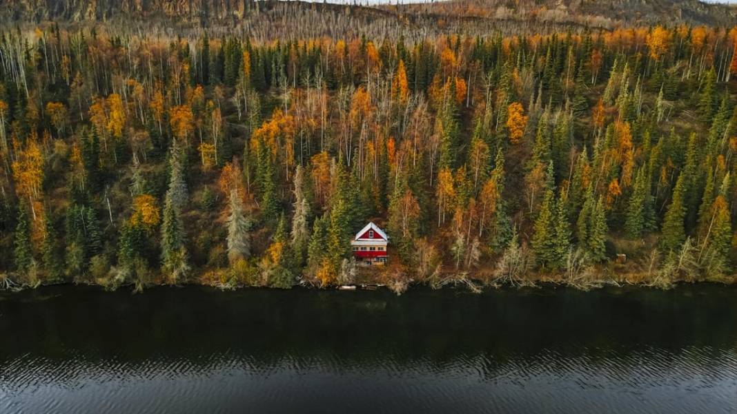 Alaska’da Sonbahar güzelliği 12