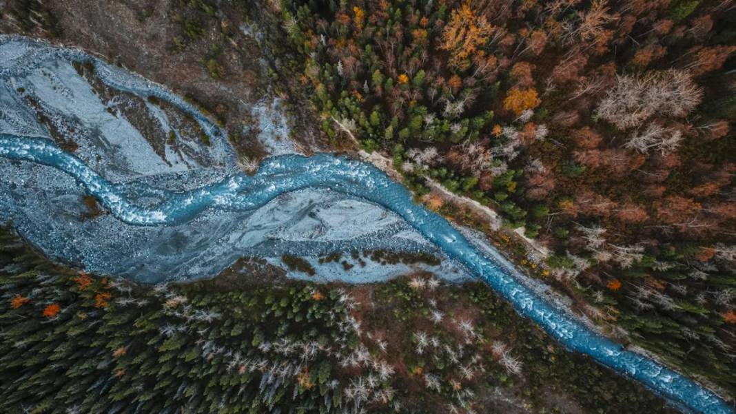 Alaska’da Sonbahar güzelliği 14