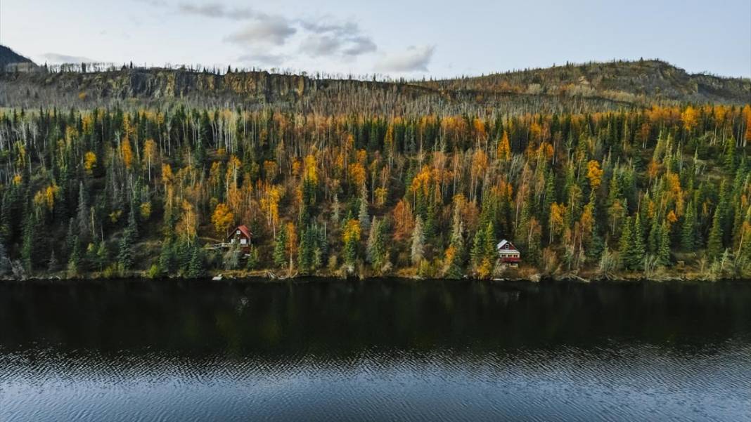 Alaska’da Sonbahar güzelliği 15