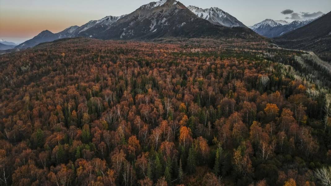 Alaska’da Sonbahar güzelliği 7