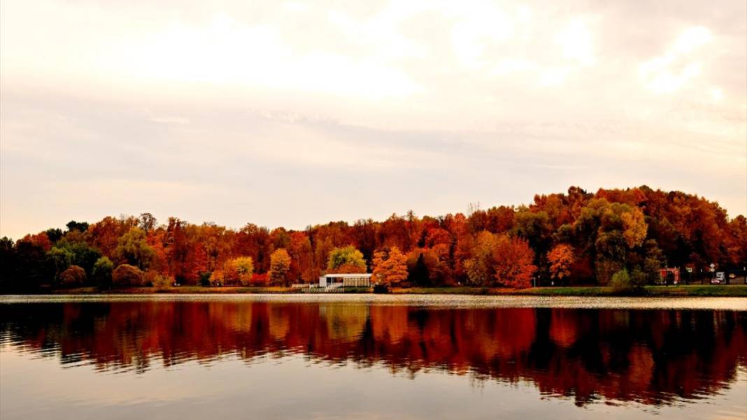 Tsaritsıno Sarayı’nda altın sonbahar 1