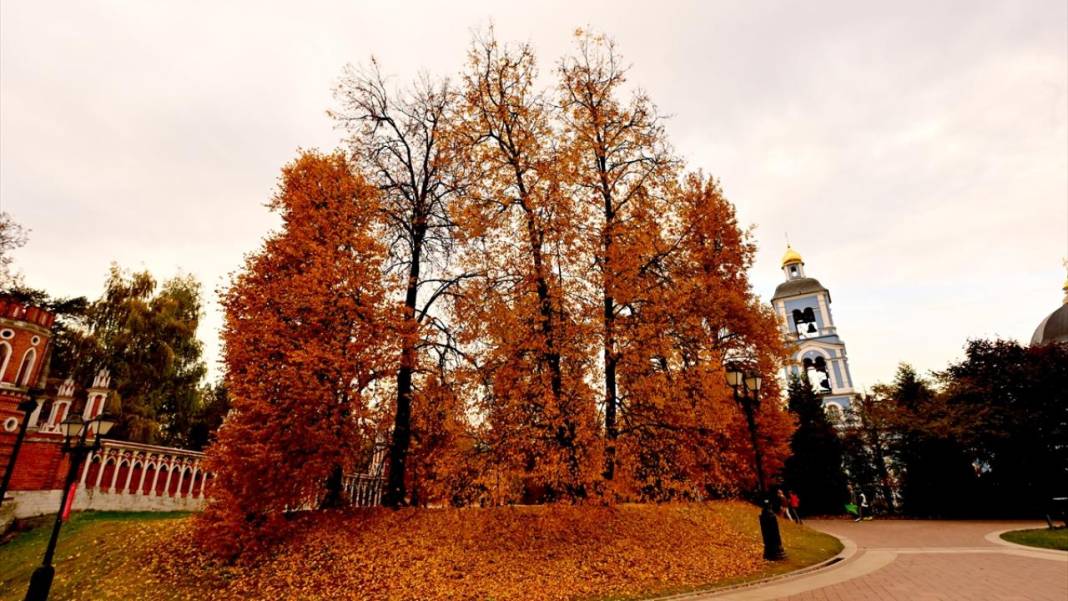 Tsaritsıno Sarayı’nda altın sonbahar 10