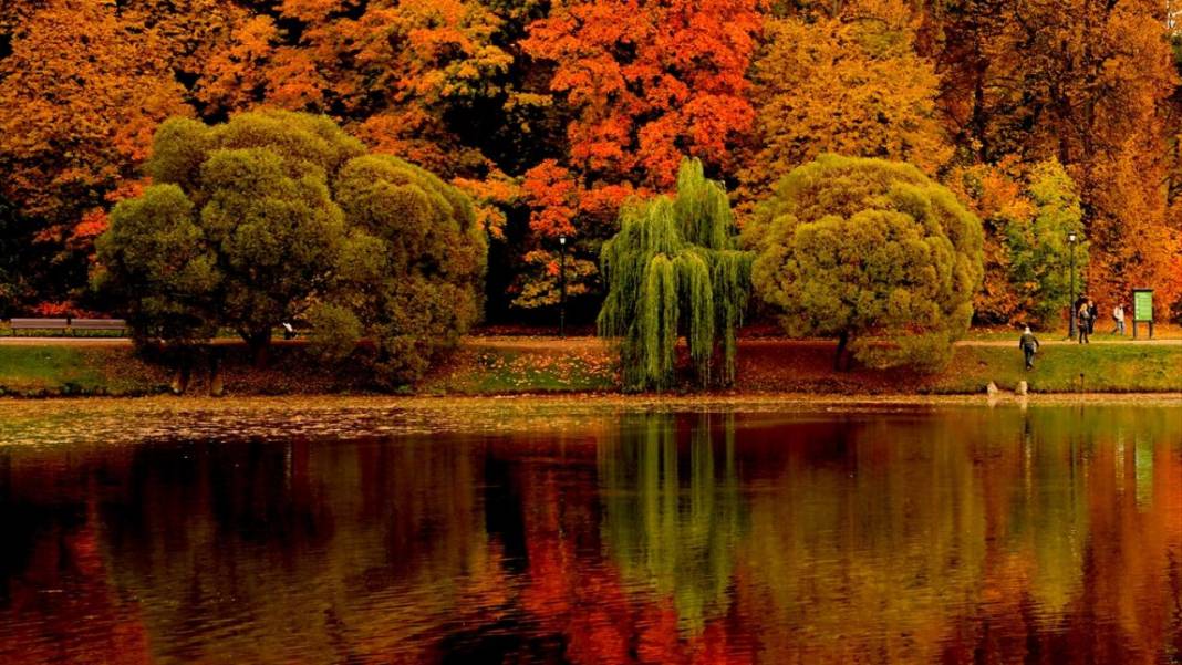 Tsaritsıno Sarayı’nda altın sonbahar 13