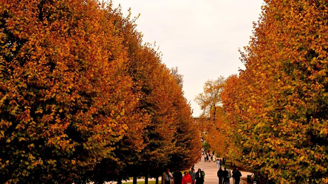 Tsaritsıno Sarayı’nda altın sonbahar 4