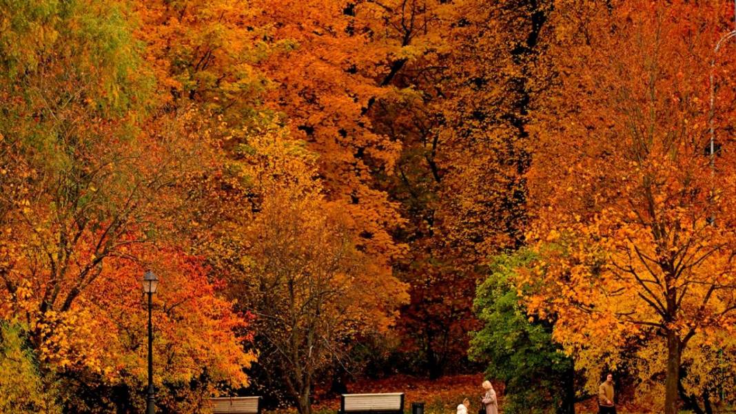 Tsaritsıno Sarayı’nda altın sonbahar 5