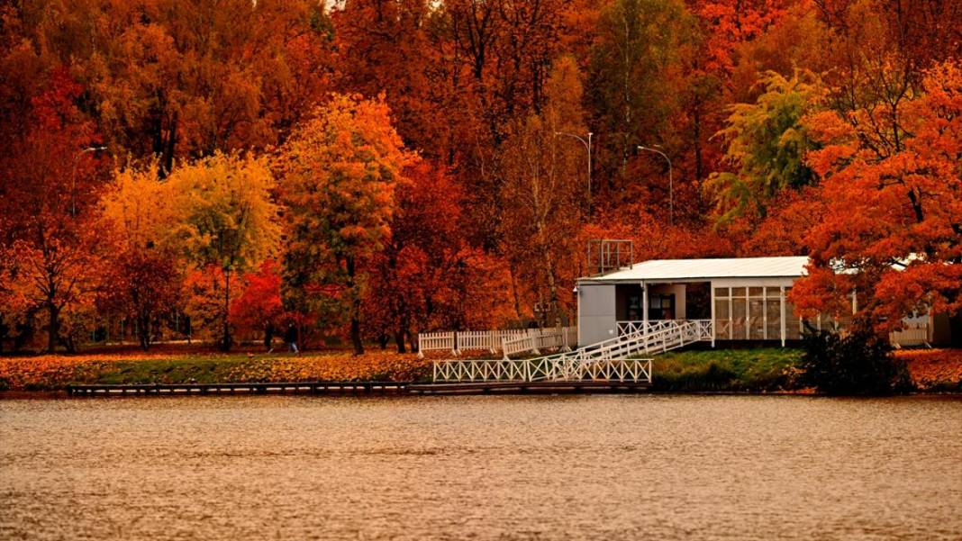 Tsaritsıno Sarayı’nda altın sonbahar 6