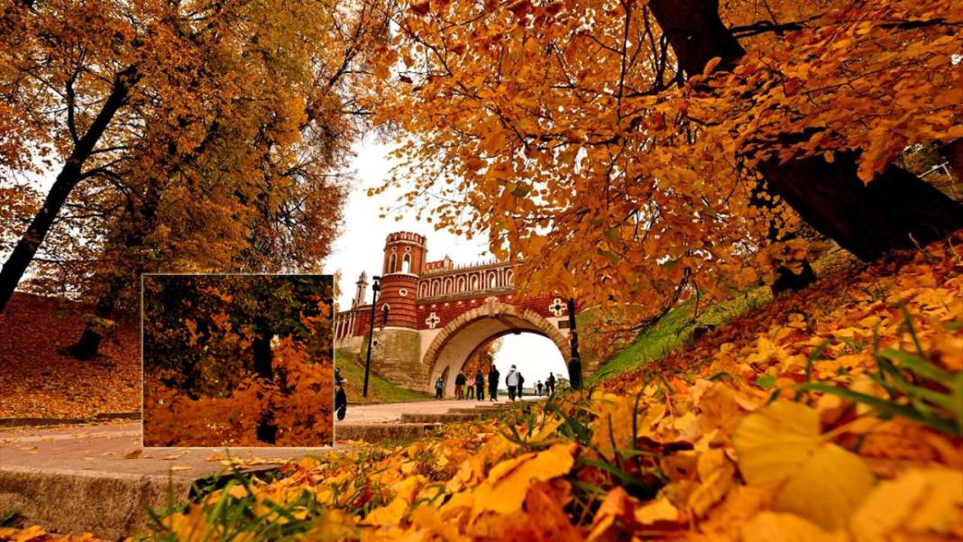 Tsaritsıno Sarayı’nda altın sonbahar 8