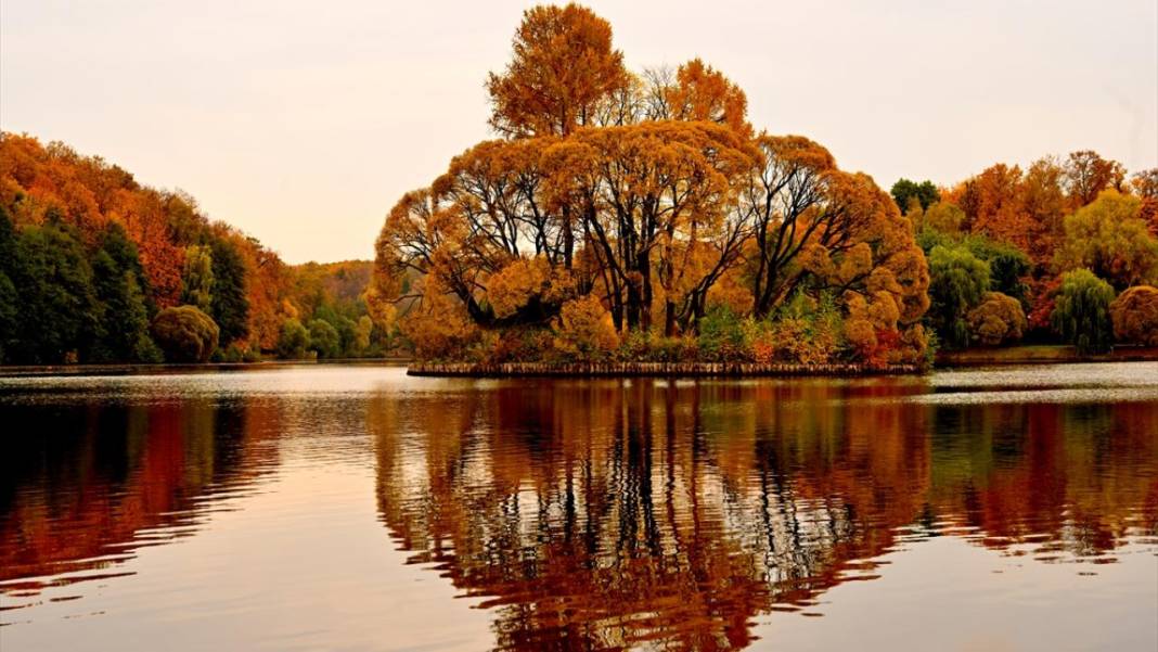 Tsaritsıno Sarayı’nda altın sonbahar 9