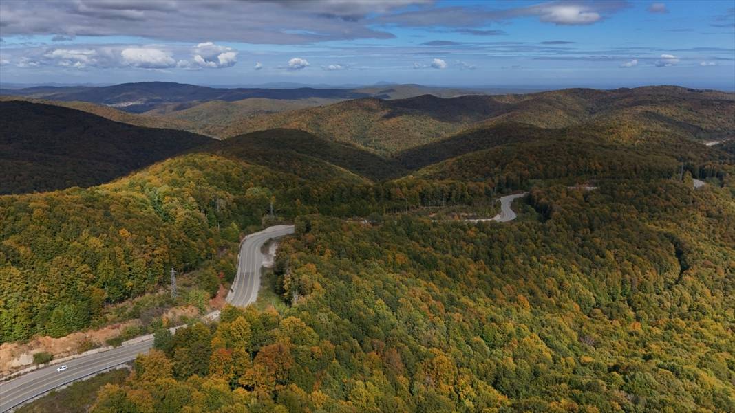 Istranca ormanları sonbahar renklerine büründü 1