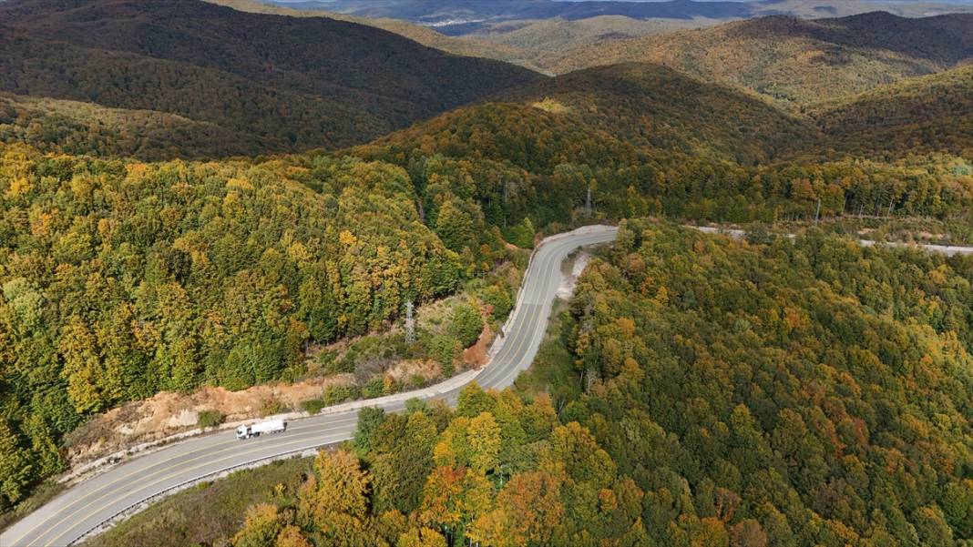 Istranca ormanları sonbahar renklerine büründü 2