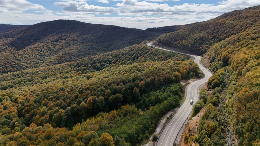 Istranca ormanları sonbahar renklerine büründü 5
