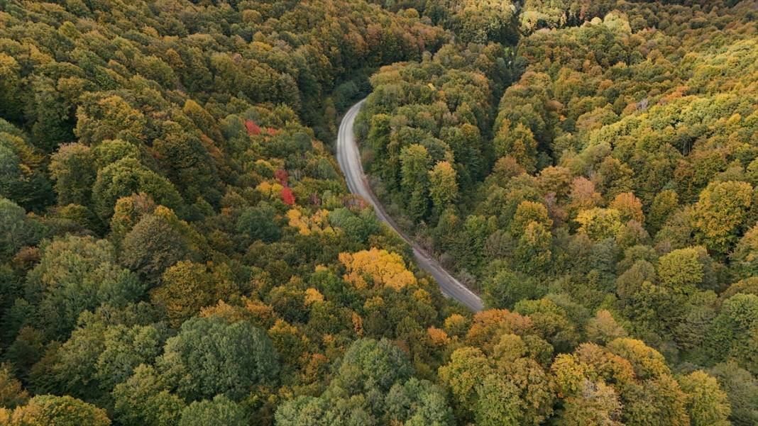 Istranca ormanları sonbahar renklerine büründü 7