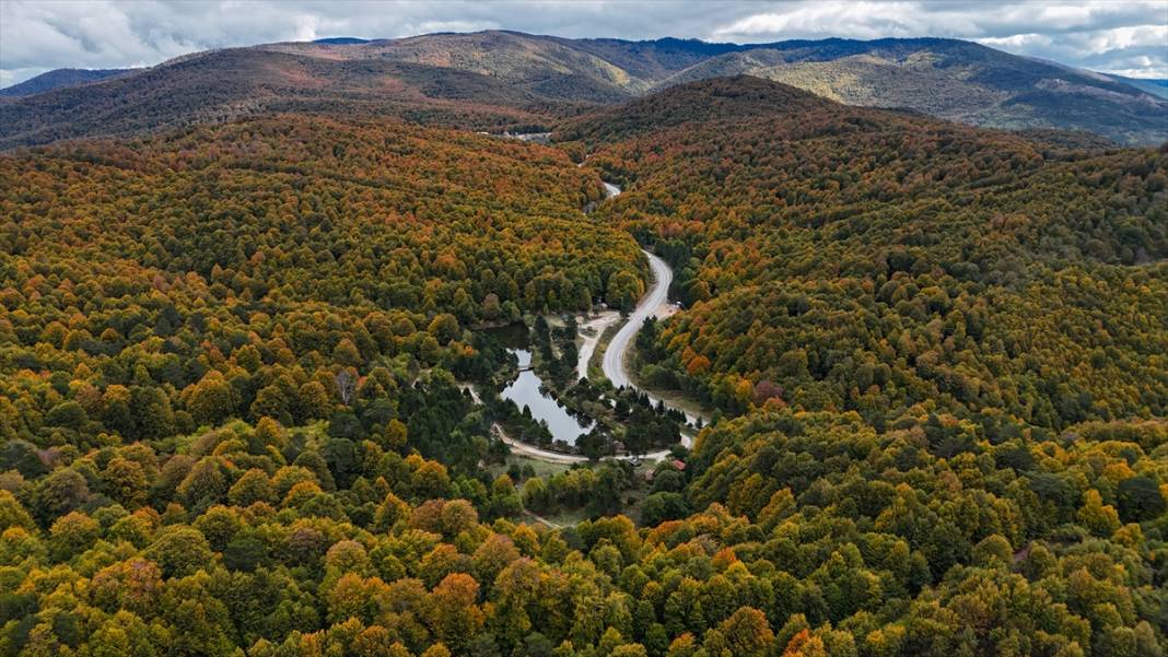 Domaniç Dağları sonbaharın renklerine büründü 1
