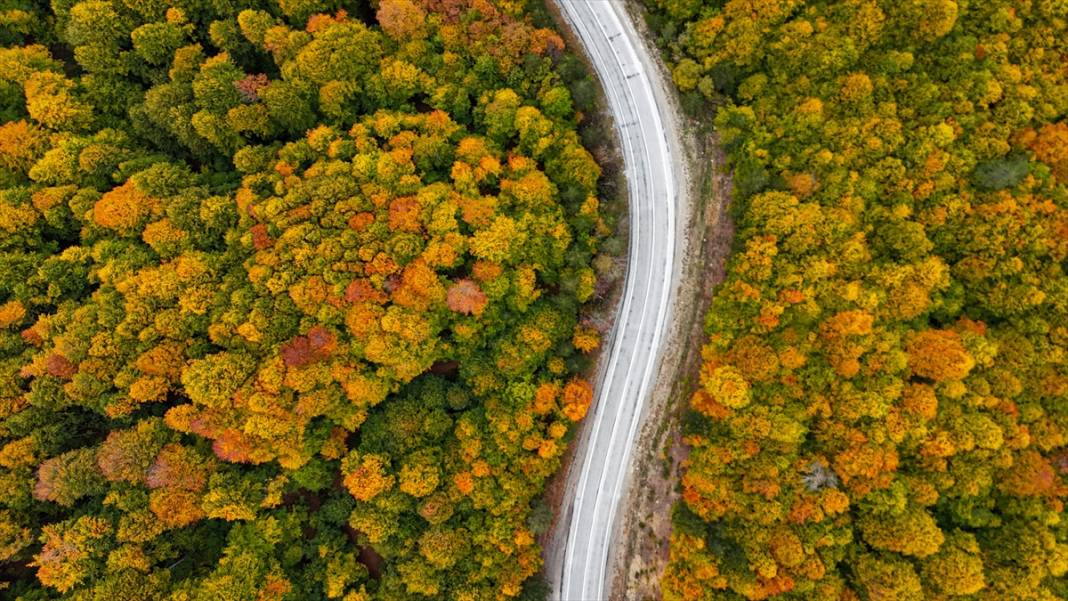 Domaniç Dağları sonbaharın renklerine büründü 10