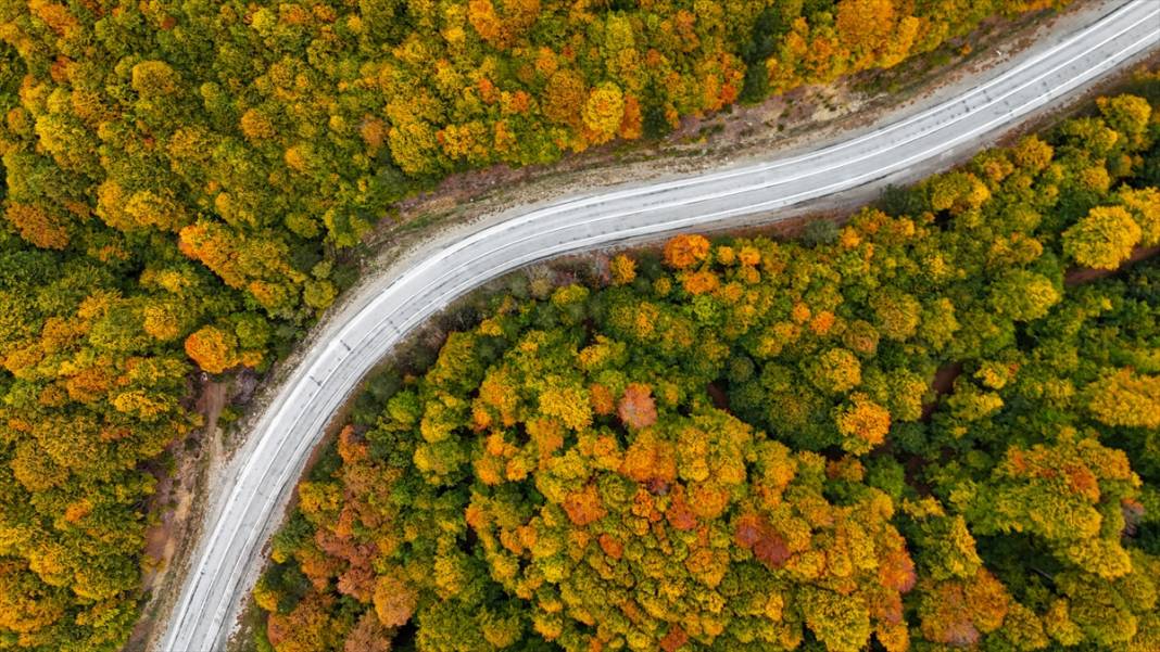 Domaniç Dağları sonbaharın renklerine büründü 11