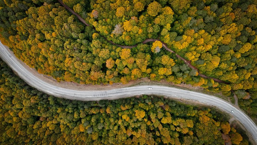Domaniç Dağları sonbaharın renklerine büründü 12