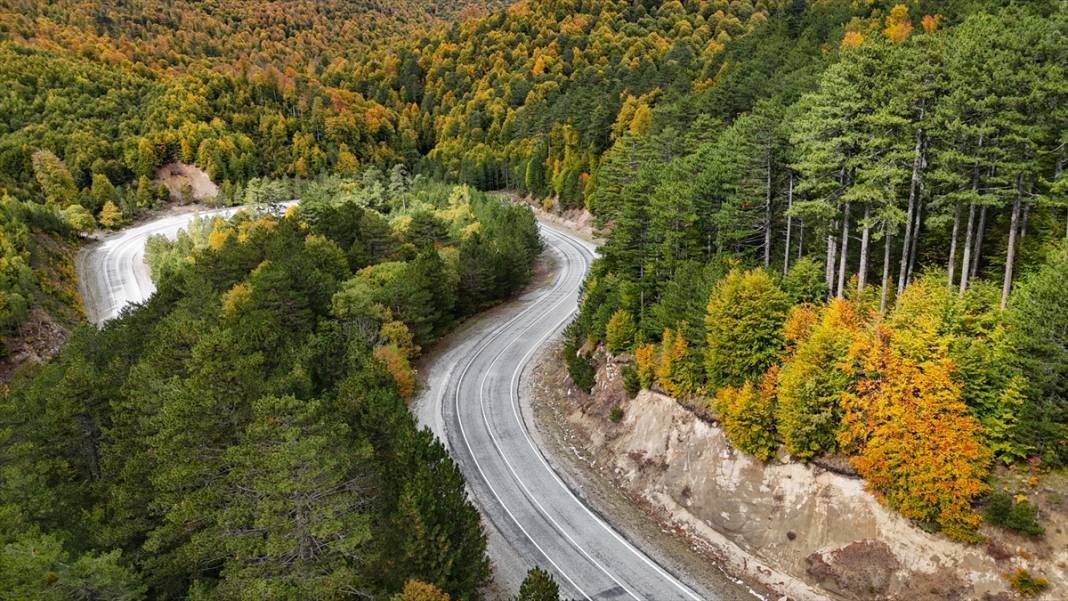Domaniç Dağları sonbaharın renklerine büründü 14
