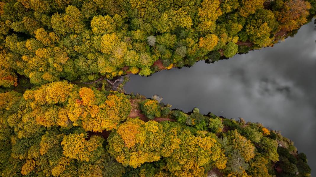 Domaniç Dağları sonbaharın renklerine büründü 3