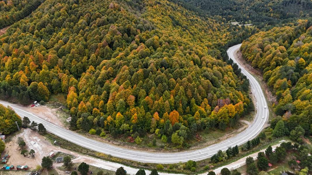 Domaniç Dağları sonbaharın renklerine büründü 4