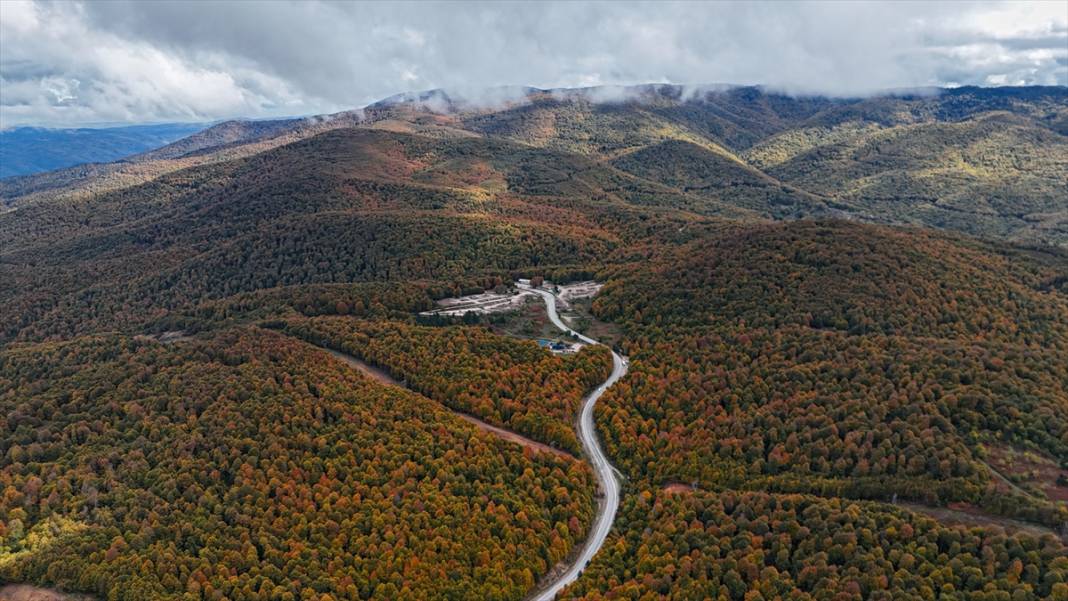 Domaniç Dağları sonbaharın renklerine büründü 5