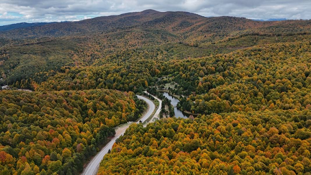 Domaniç Dağları sonbaharın renklerine büründü 6