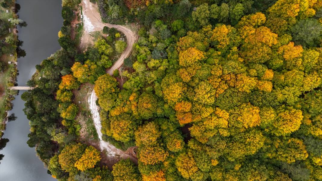 Domaniç Dağları sonbaharın renklerine büründü 7