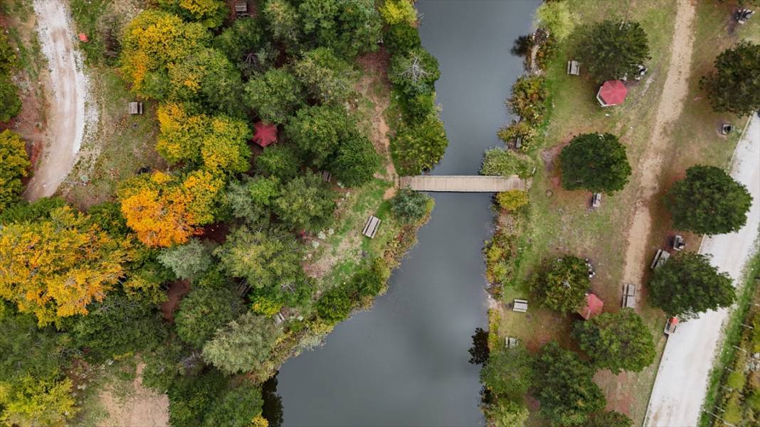 Domaniç Dağları sonbaharın renklerine büründü 8