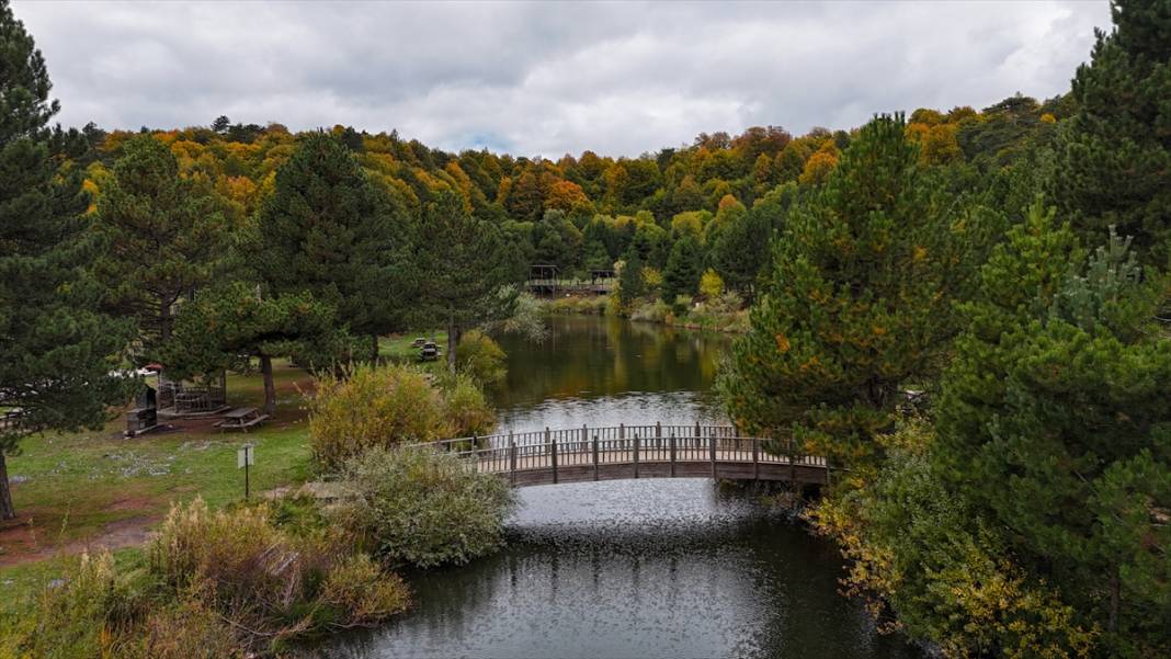 Domaniç Dağları sonbaharın renklerine büründü 9