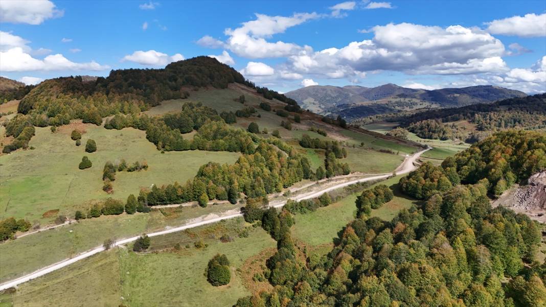 1500 rakımlı Uluvahta Yaylası 1