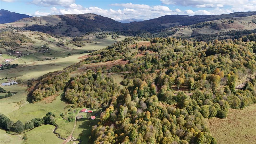 1500 rakımlı Uluvahta Yaylası 10