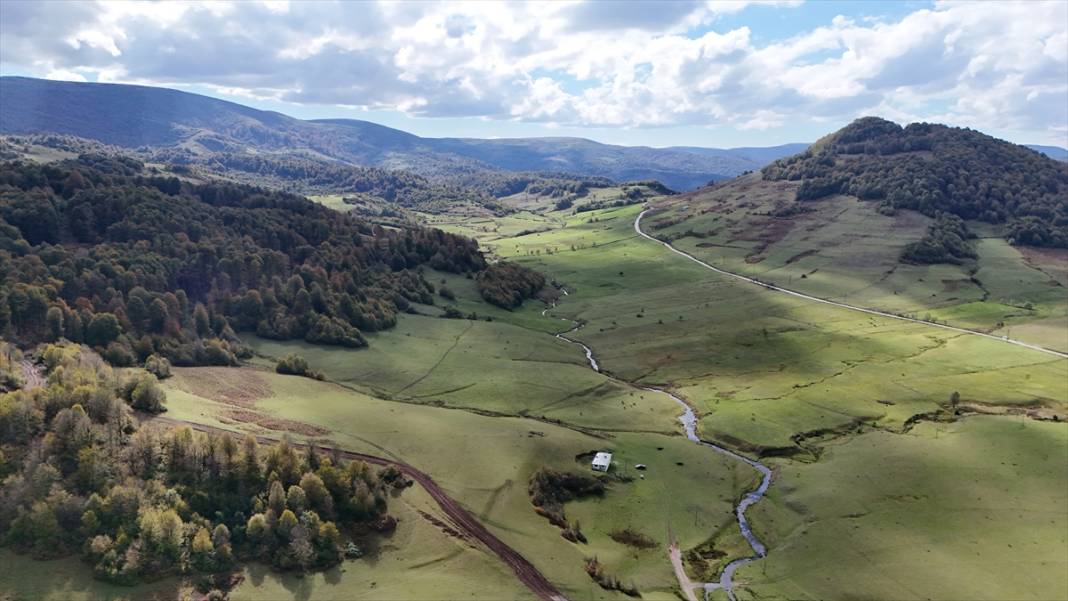 1500 rakımlı Uluvahta Yaylası 12