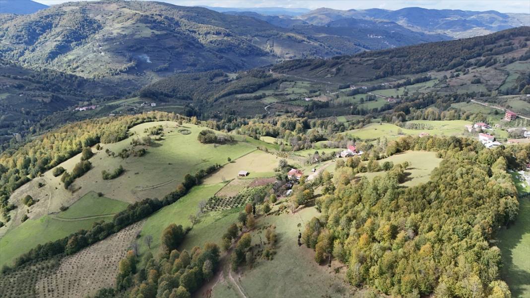 1500 rakımlı Uluvahta Yaylası 2