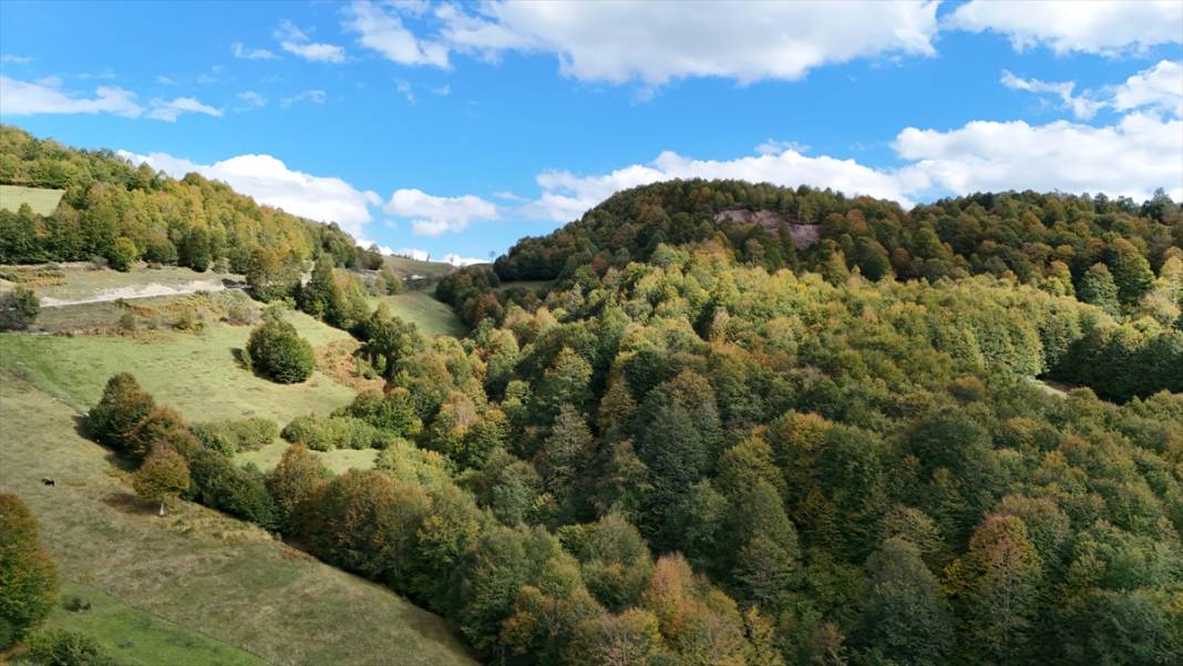 1500 rakımlı Uluvahta Yaylası 8