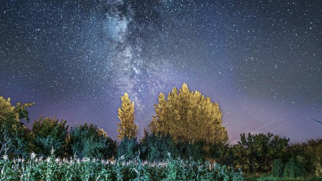 Bitlis'te yıldızlı gece 5