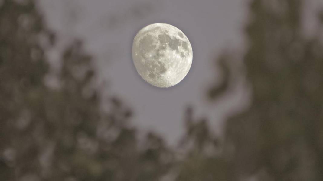 Bitlis'te yıldızlı gece 7