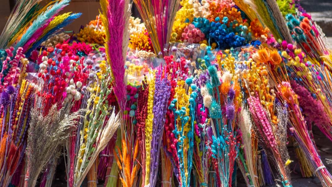 Kuru çiçekçilik sanatıyla baharın renkleri evlere taşınıyor 10