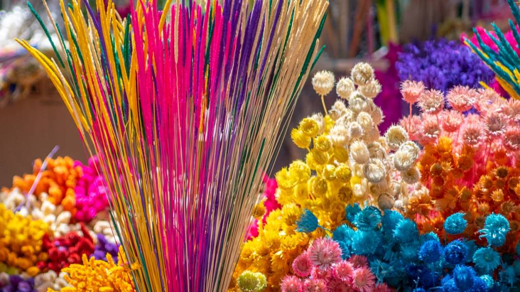 Kuru çiçekçilik sanatıyla baharın renkleri evlere taşınıyor 11