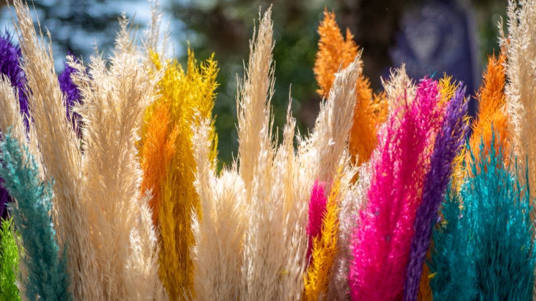 Kuru çiçekçilik sanatıyla baharın renkleri evlere taşınıyor 12