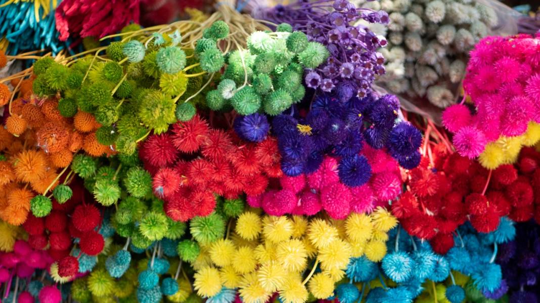 Kuru çiçekçilik sanatıyla baharın renkleri evlere taşınıyor 14