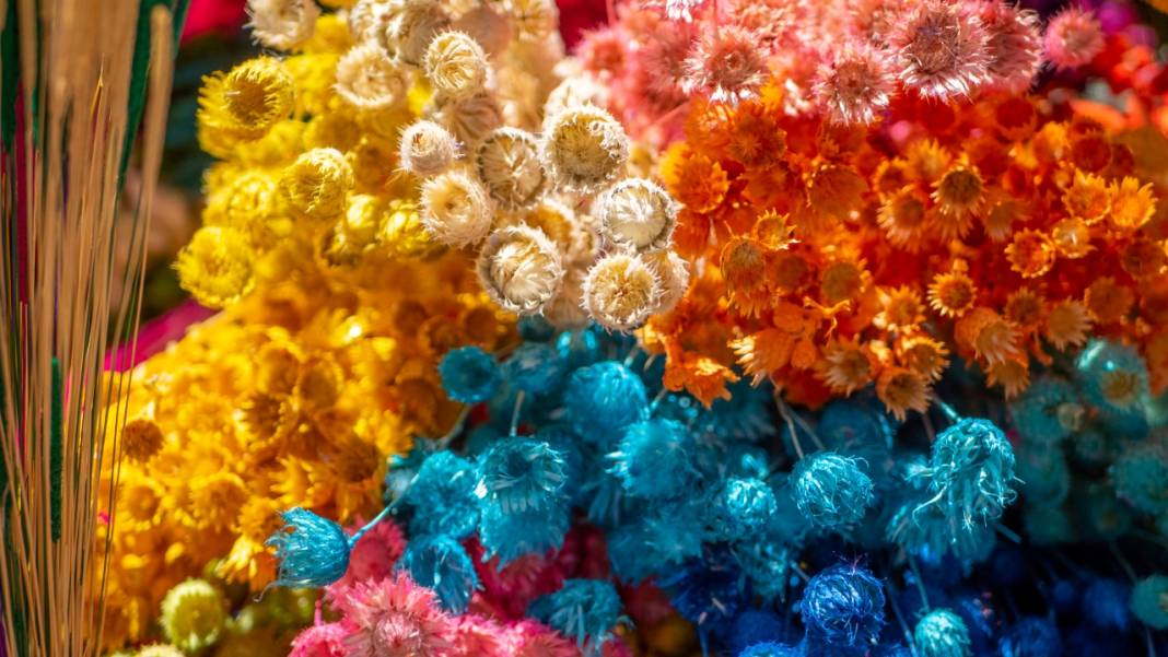 Kuru çiçekçilik sanatıyla baharın renkleri evlere taşınıyor 4