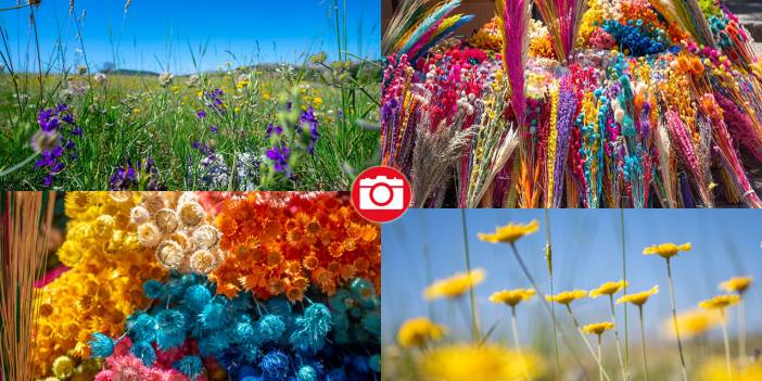 Kuru çiçekçilik sanatıyla baharın renkleri evlere taşınıyor