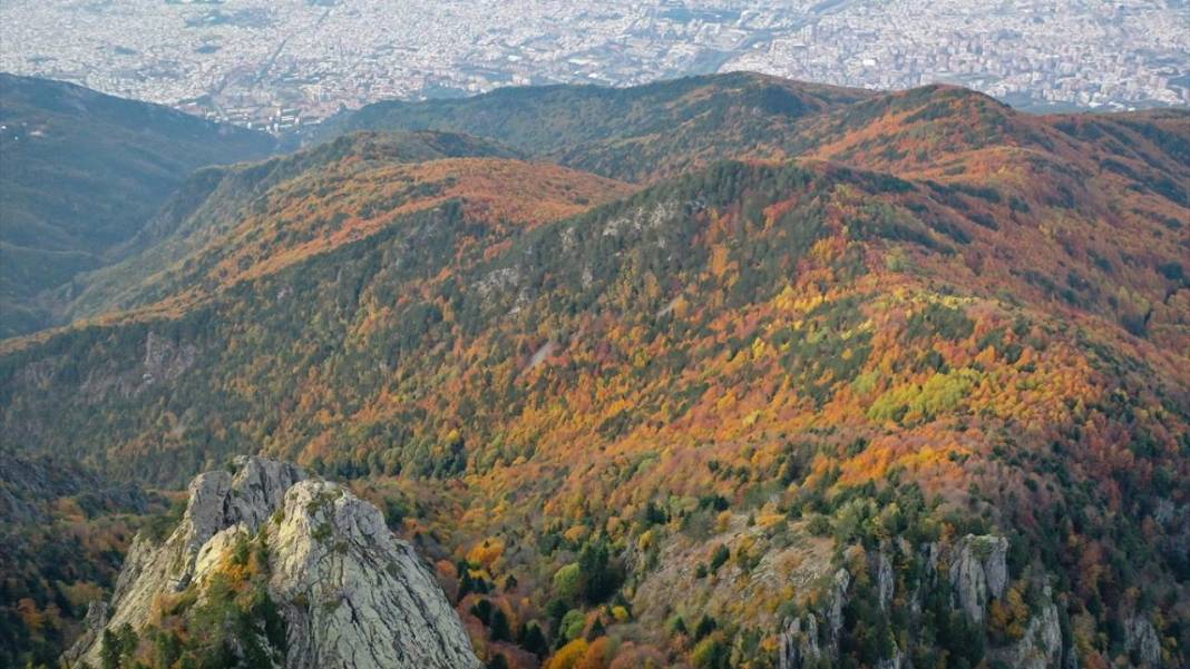 Uludağ'da sonbahar renkleri hakim oldu 1